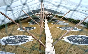 養(yǎng)殖增氧機(jī)：輕松應(yīng)對夏季不同情況